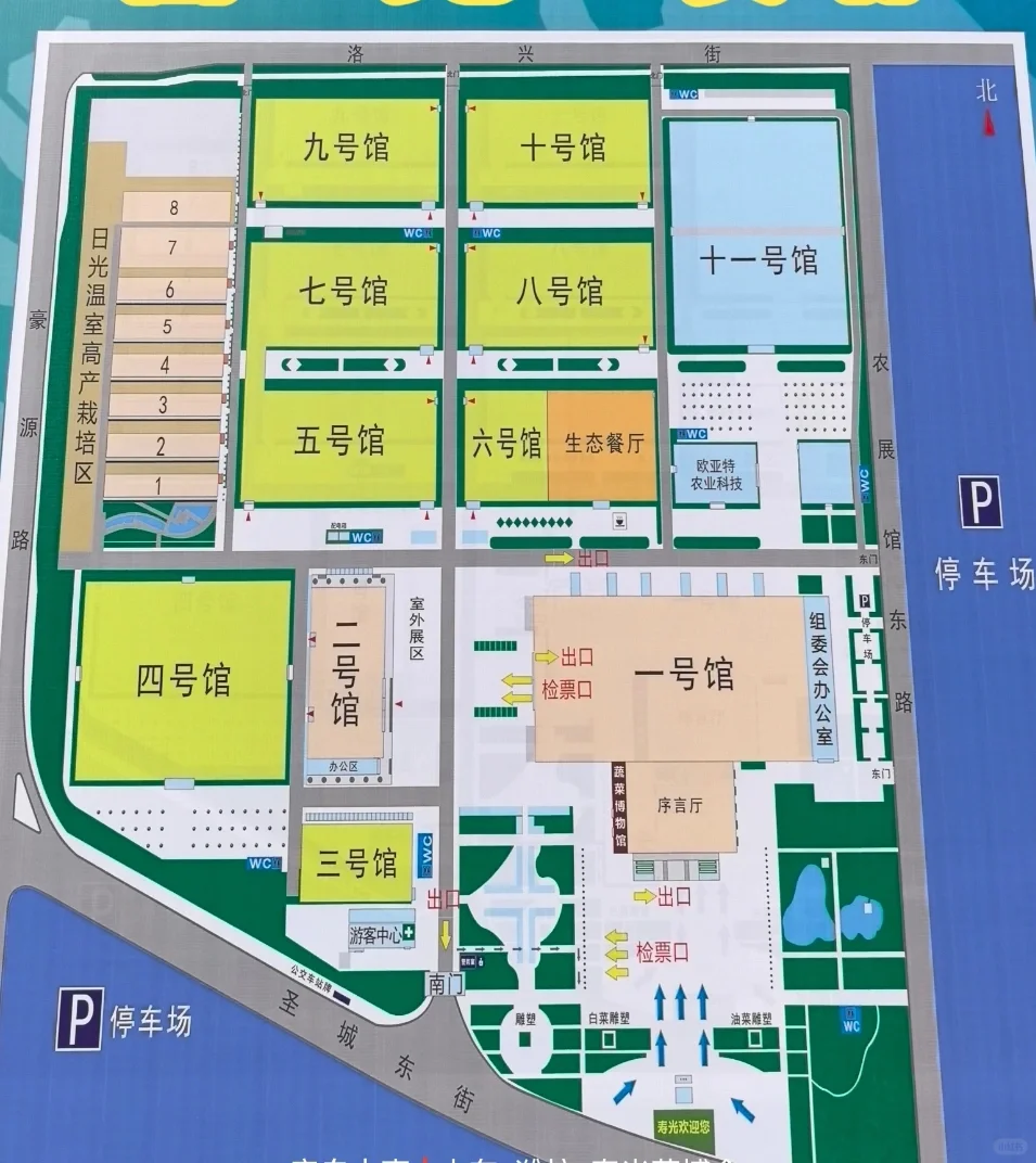 15年后再来菜博会，巨型南瓜见证我长大了