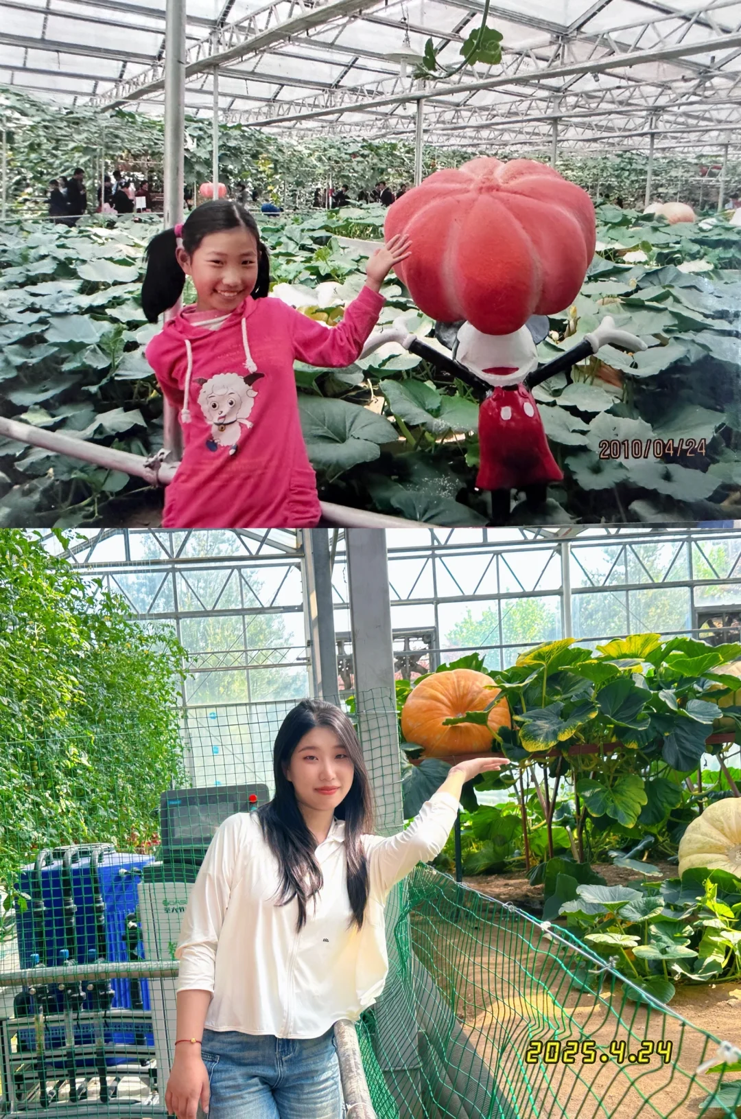 15年后再来菜博会，巨型南瓜见证我长大了