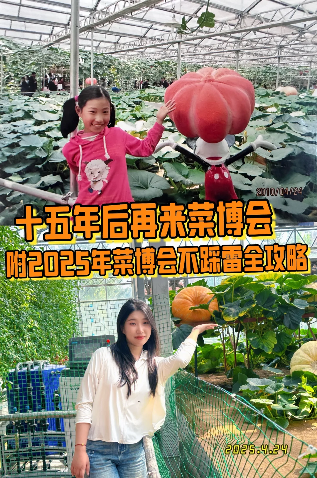 15年后再来菜博会，巨型南瓜见证我长大了