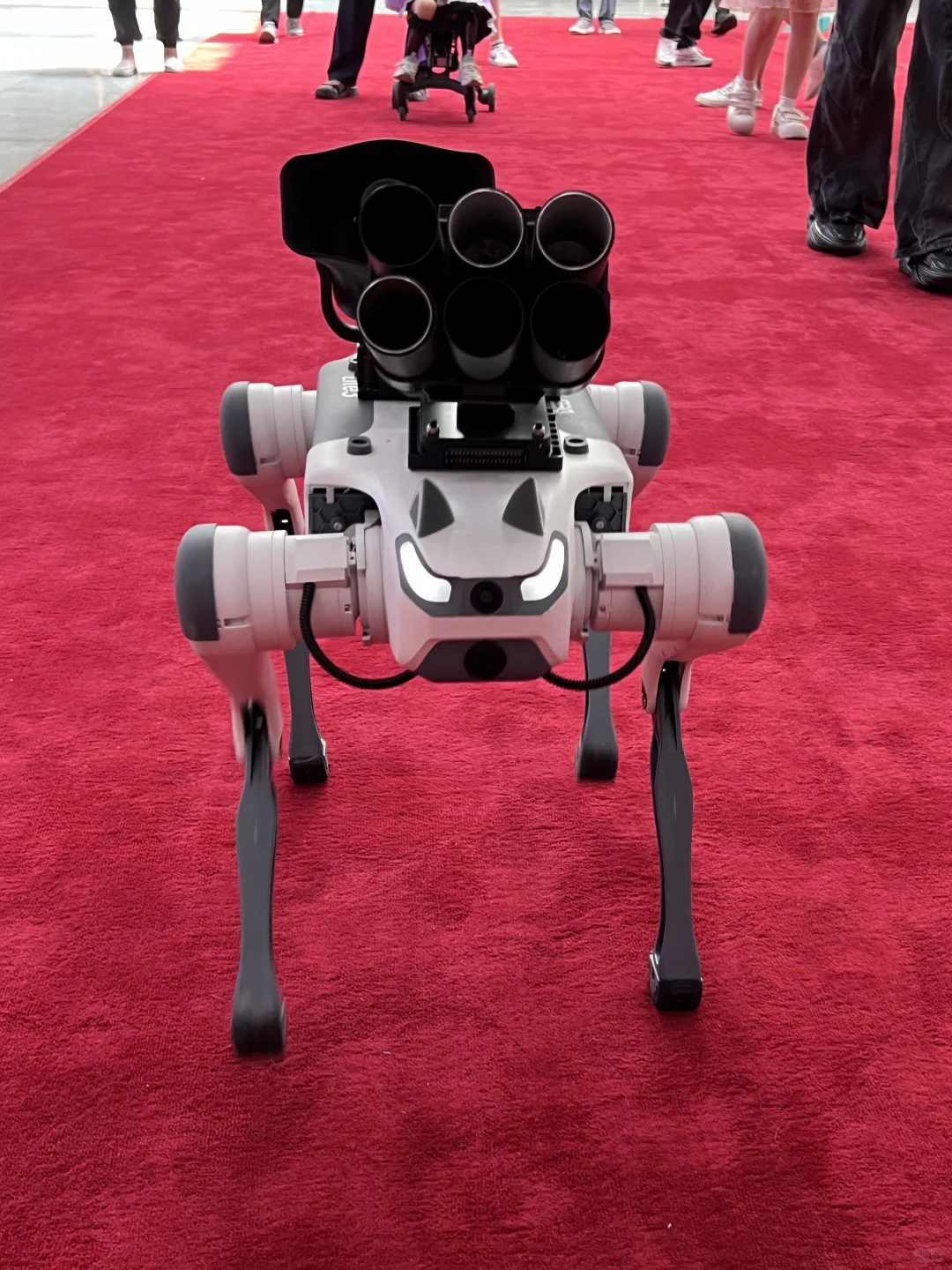 记录一下读研以来第一次看展会！