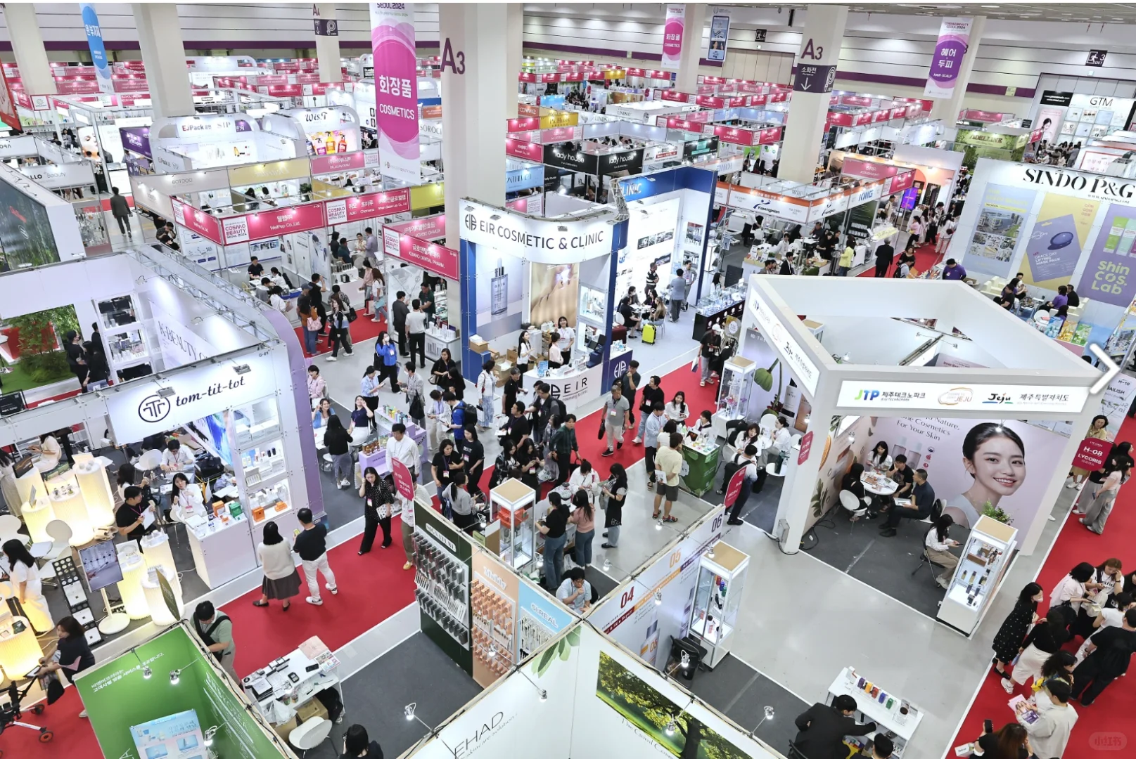 2025年韩国首尔国际化妆品博览会