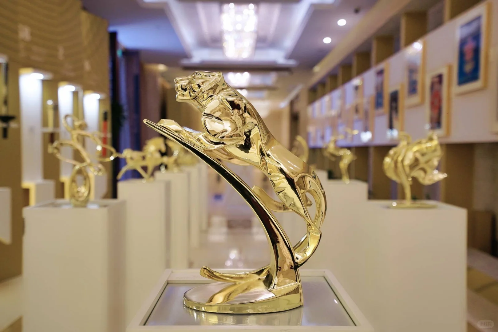 哇塞！贵阳会展服务需求者有福啦！