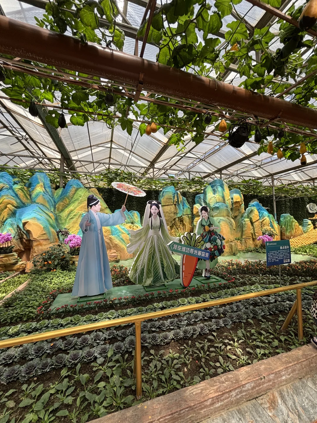 ?潍坊寿光蔬菜博览会保姆级攻略✅✅