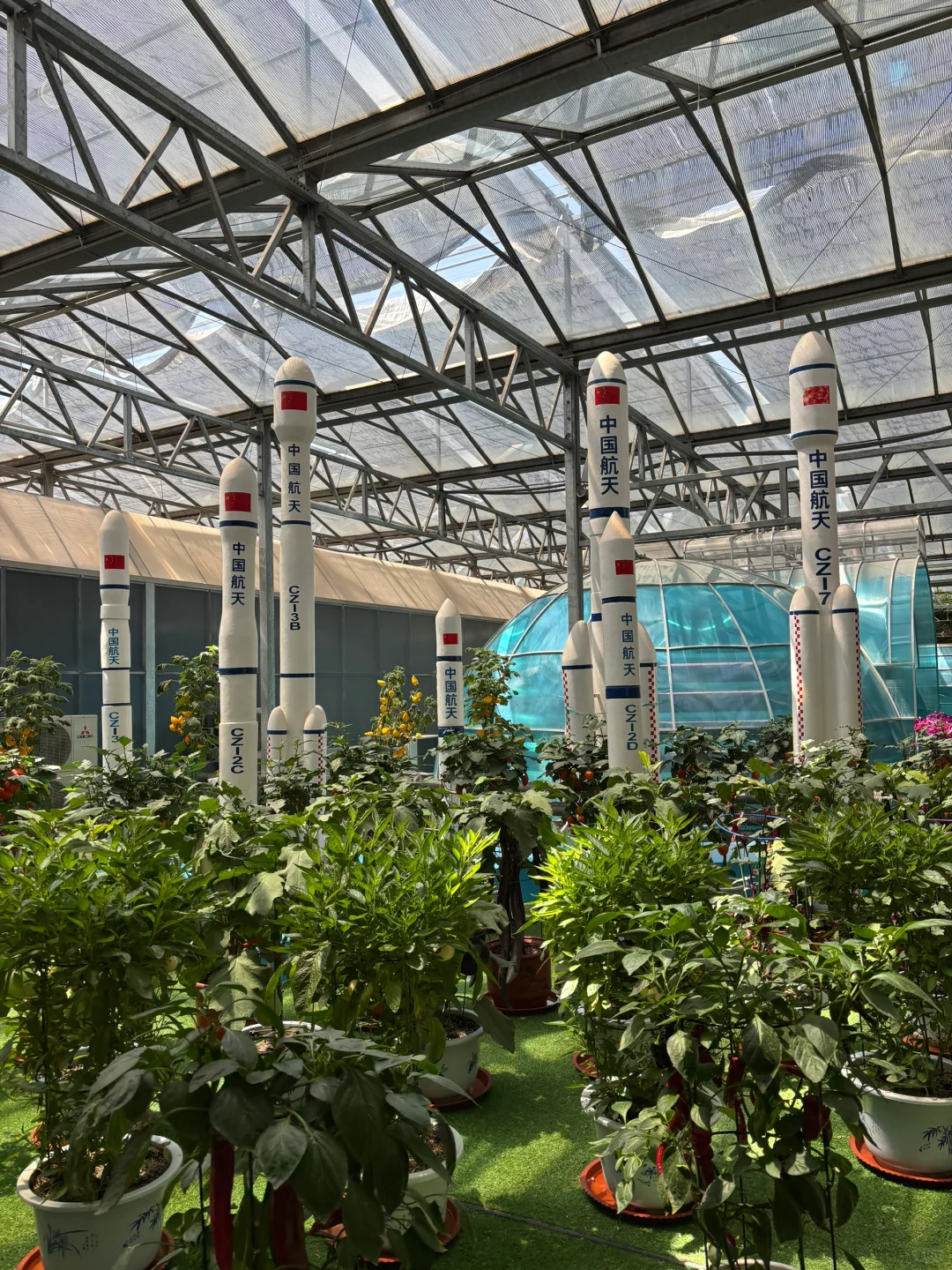 ?潍坊寿光蔬菜博览会保姆级攻略✅✅