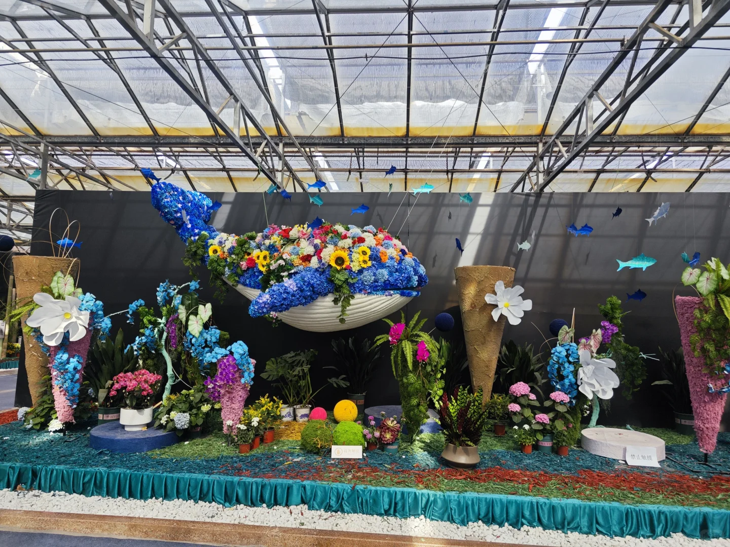 打卡寿光蔬菜博览会花卉馆篇