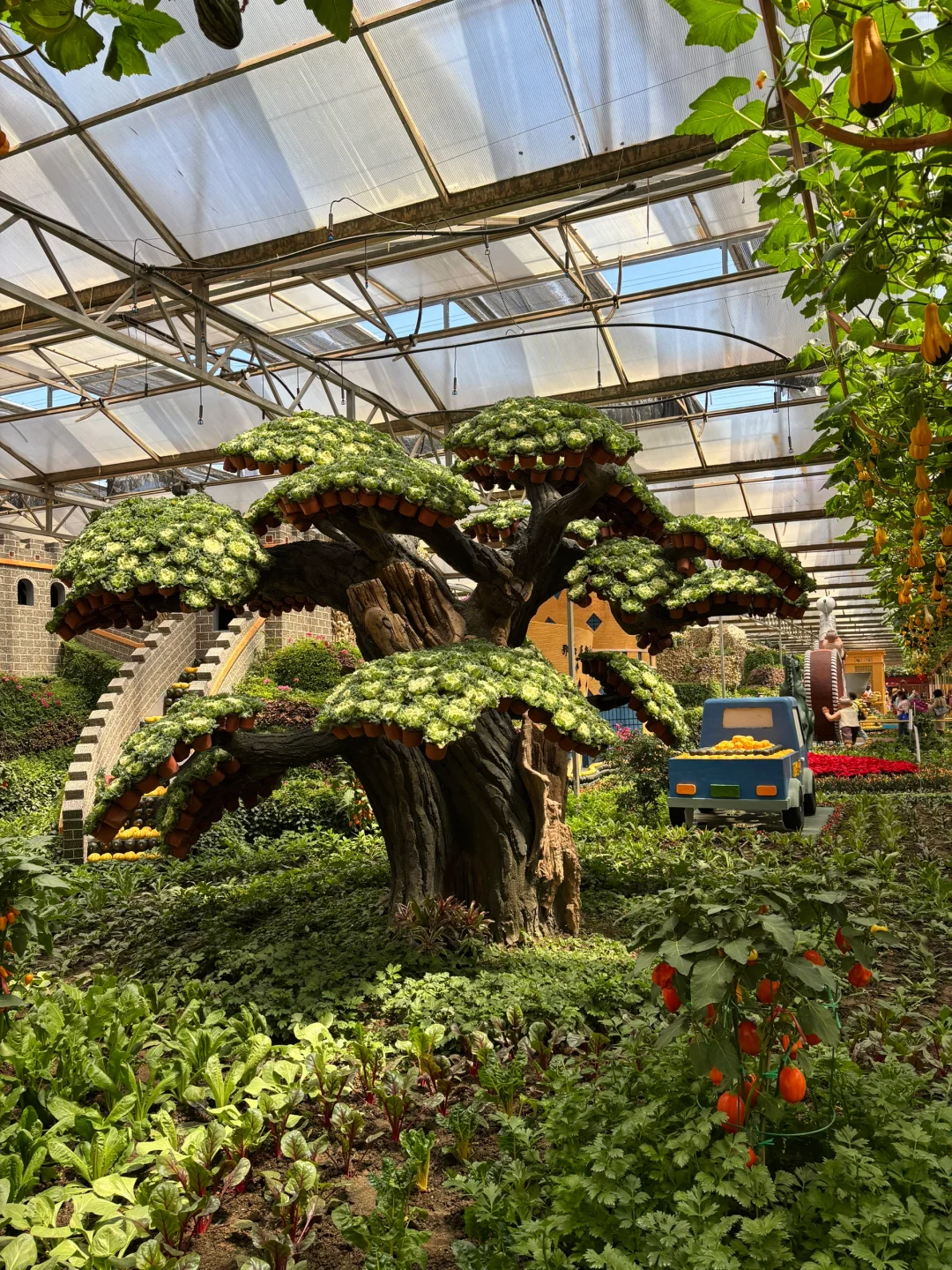 ?潍坊寿光蔬菜博览会保姆级攻略✅✅