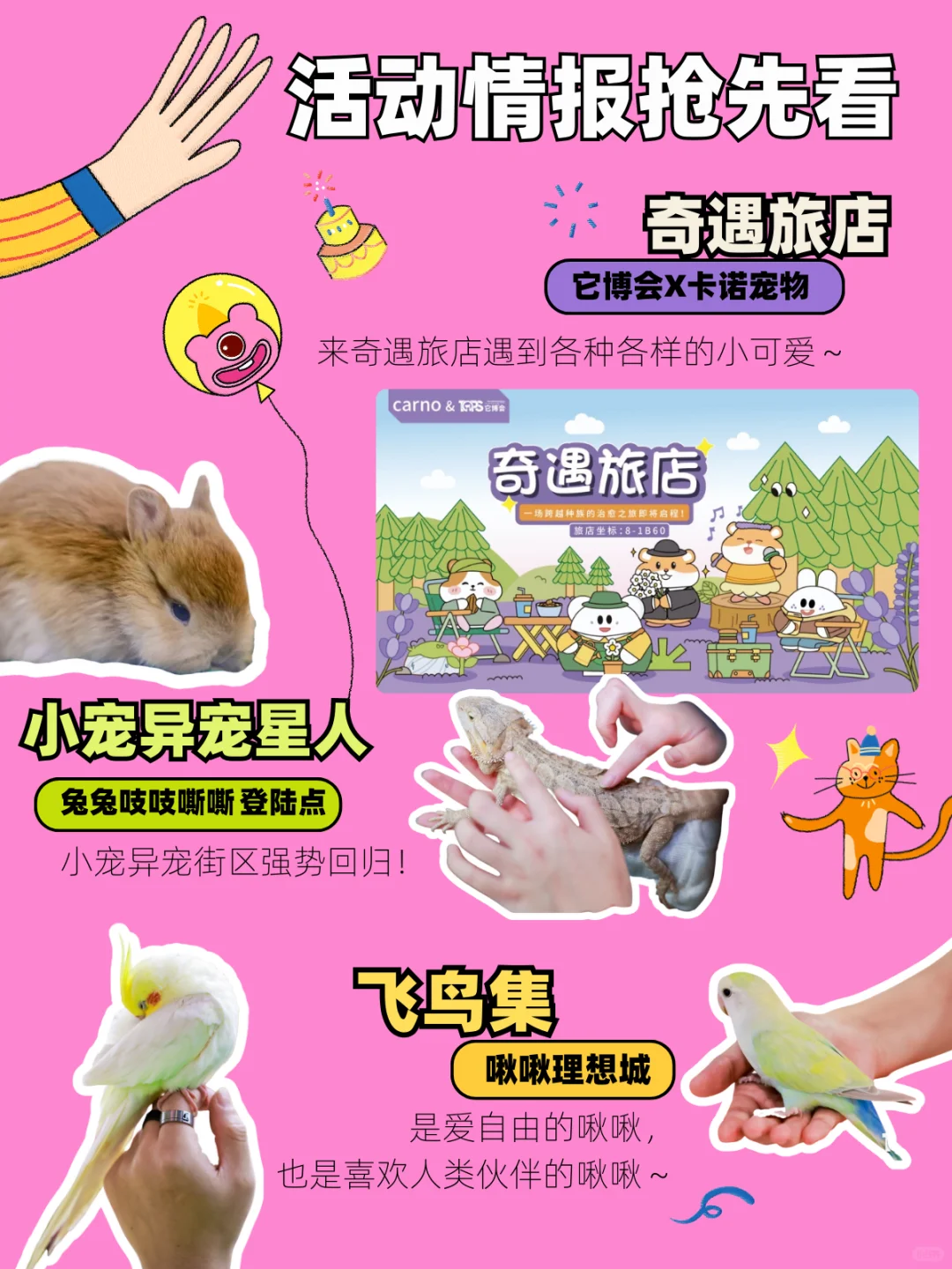 揪毛孩子们来它博玩啦！