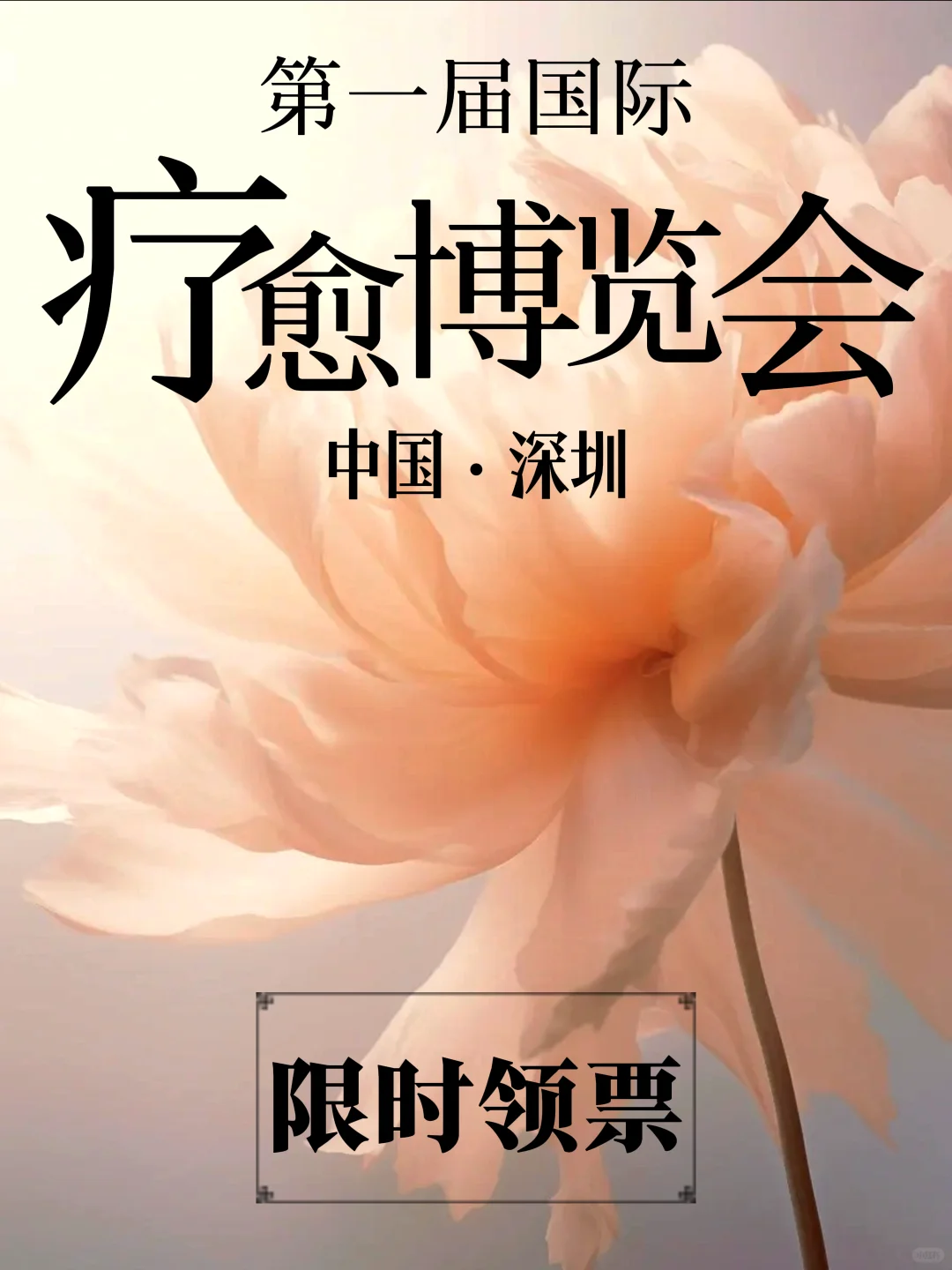 别错过了深圳逛展?超nice疗愈博览会