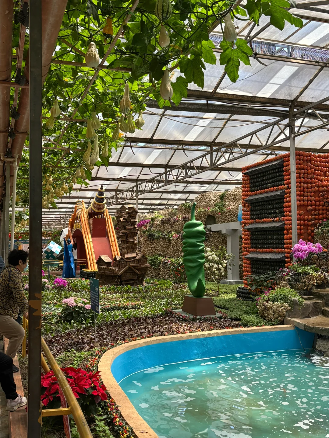 ?潍坊寿光蔬菜博览会保姆级攻略✅✅