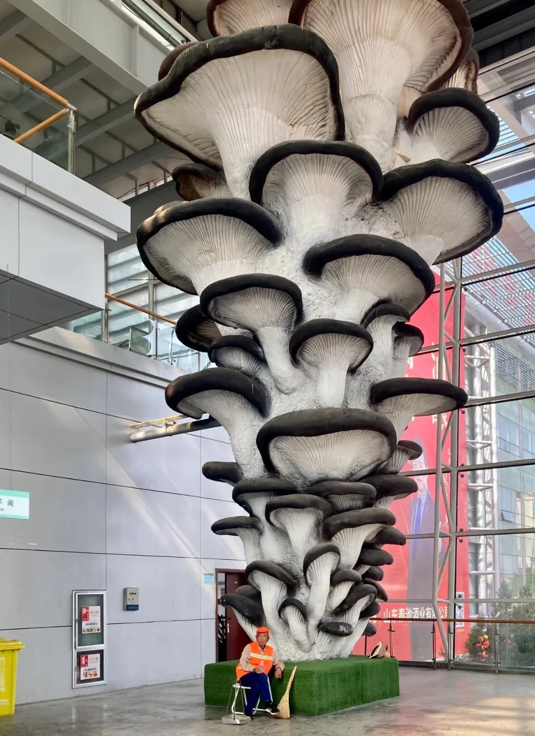 15年后再来菜博会，巨型南瓜见证我长大了