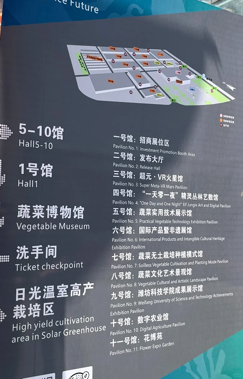 15年后再来菜博会，巨型南瓜见证我长大了