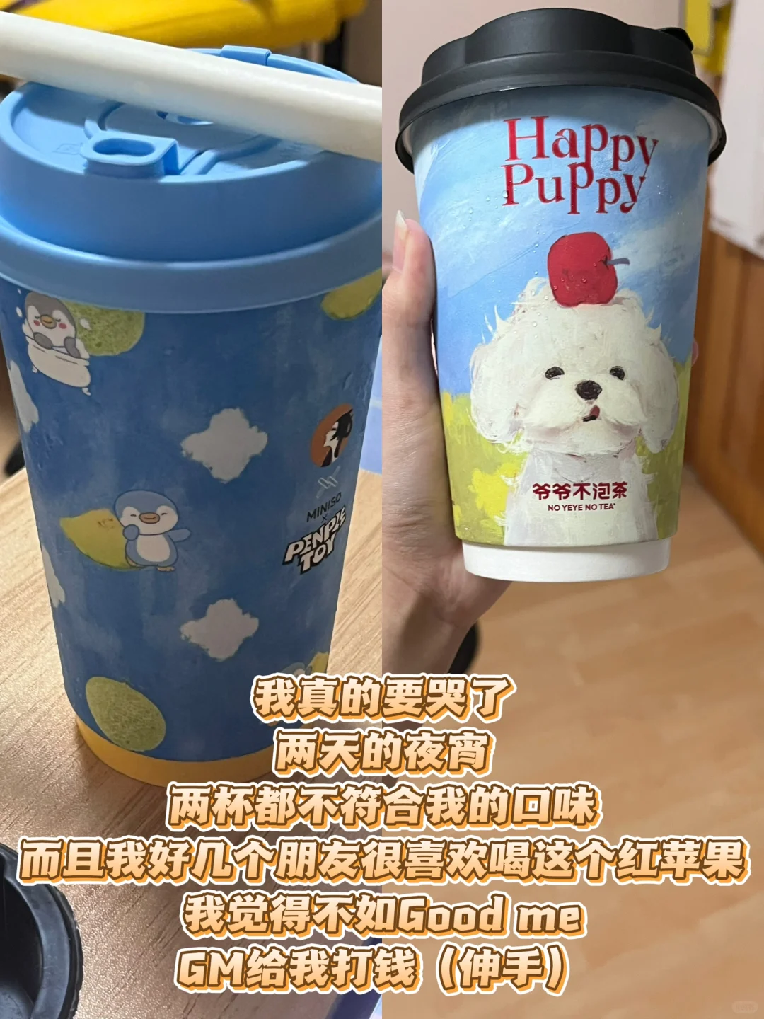 【展会翻译】CAC Fair 南丰国际会展