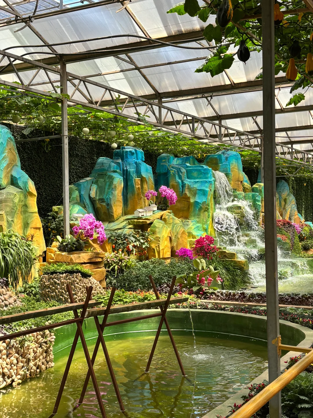 ?潍坊寿光蔬菜博览会保姆级攻略✅✅