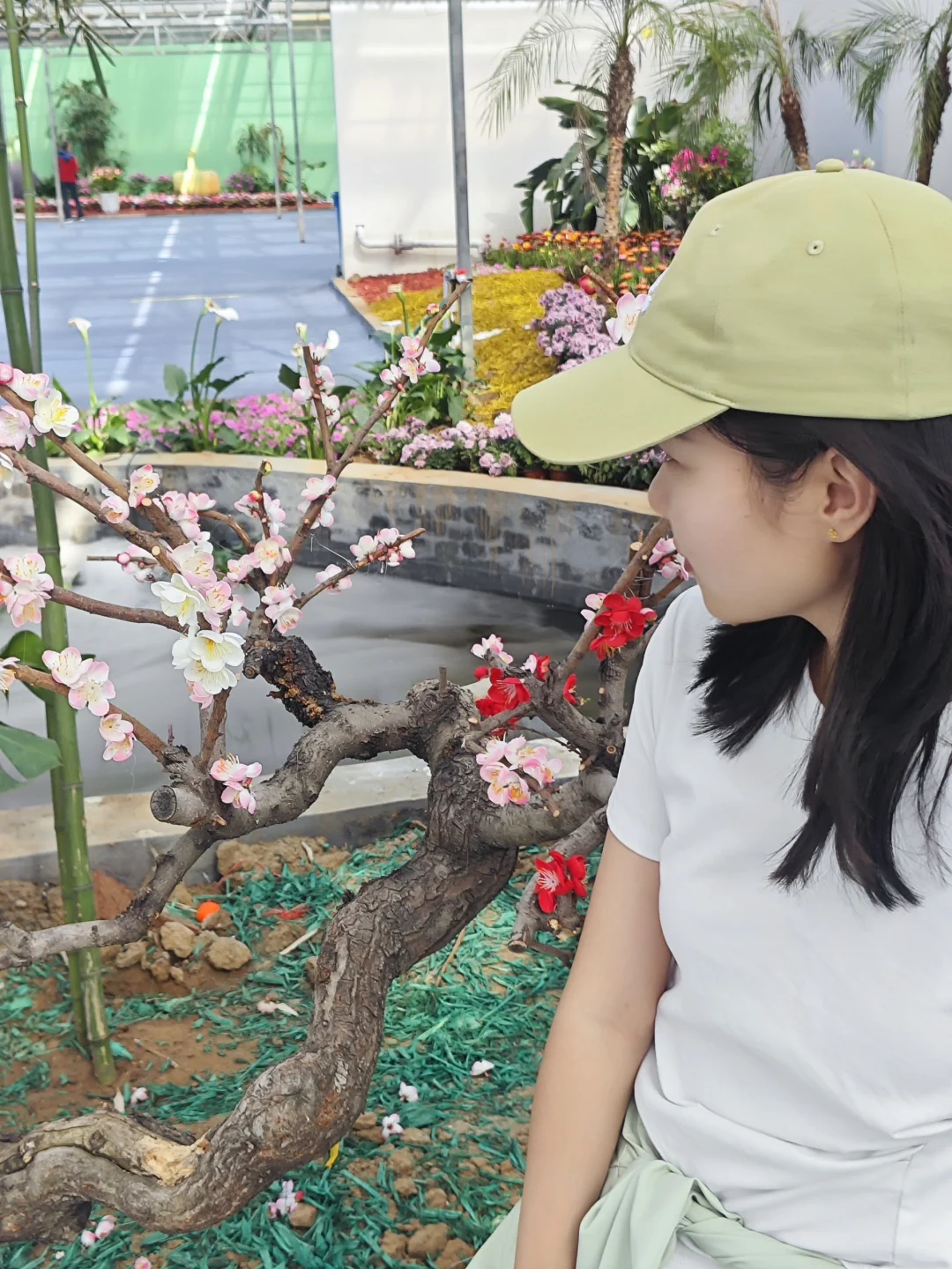 打卡寿光蔬菜博览会花卉馆篇