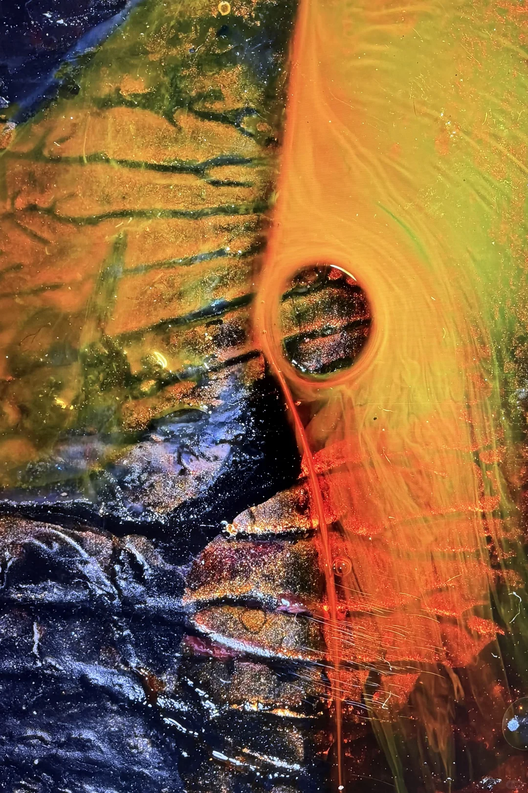 展览现场｜日本pooploop垃圾大便展?