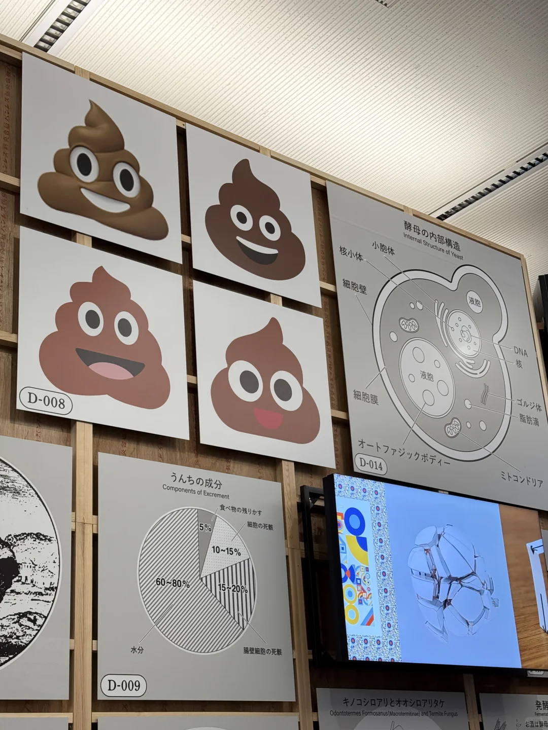 展览现场｜日本pooploop垃圾大便展?