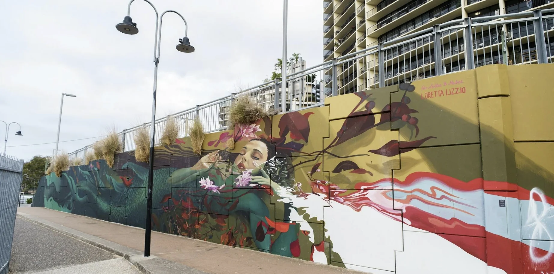 5个5?️限定！?布村的友友们千万别错过