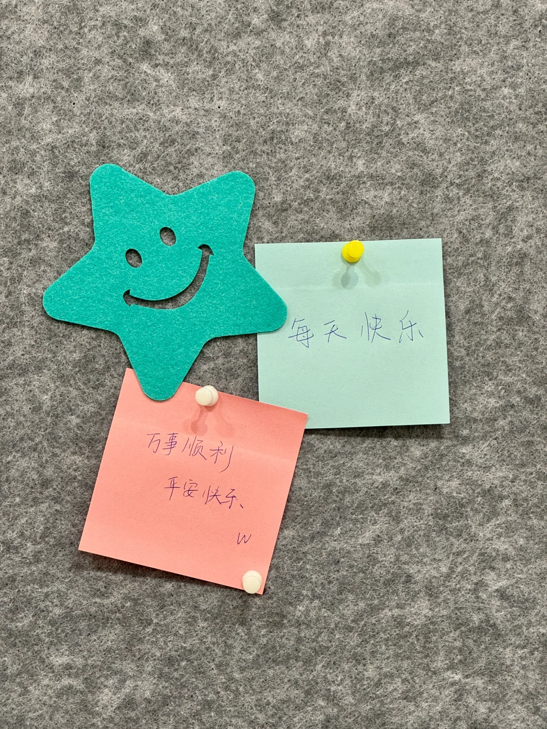 青岛新展！！！BaoBao来了！超好拍！！！