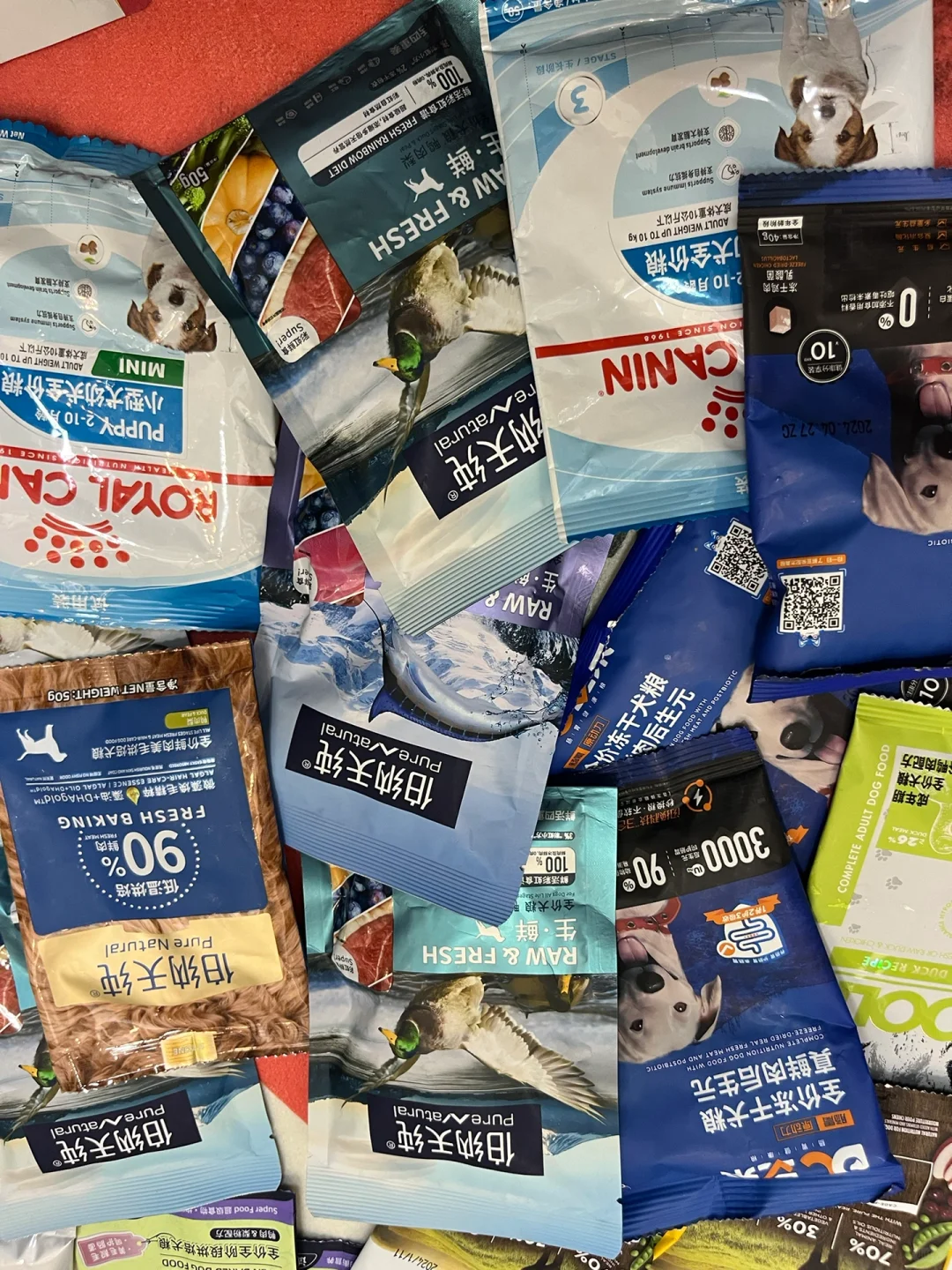 亚宠展第一天战况!攻略奉上??