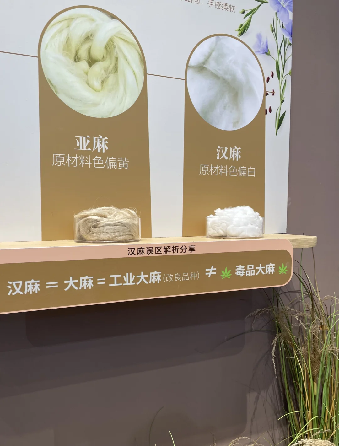 带你打卡厦门会展中心服装博览会