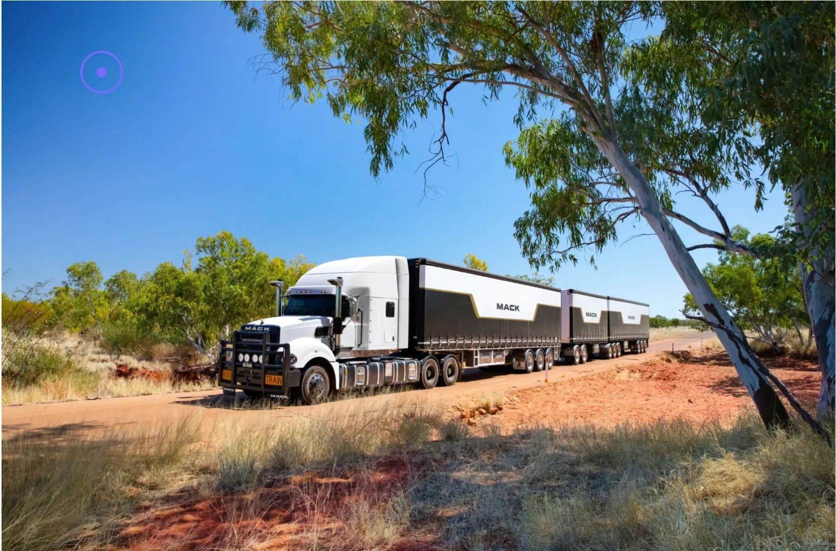 5个5?️限定！?布村的友友们千万别错过