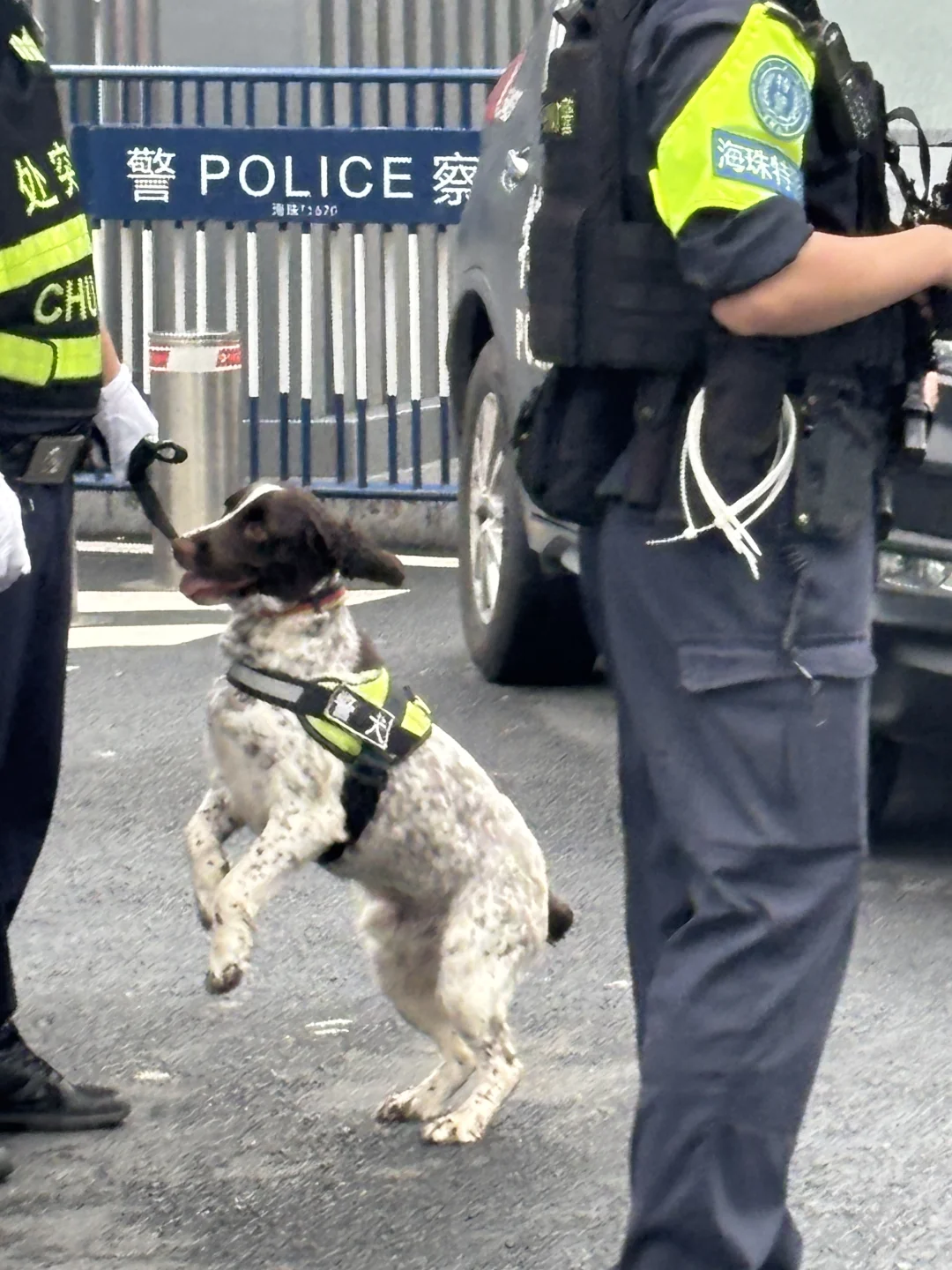 广交会兼职怒赚400+?