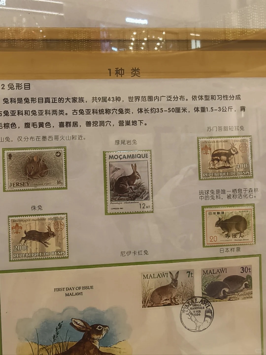 方寸万象 邮票展