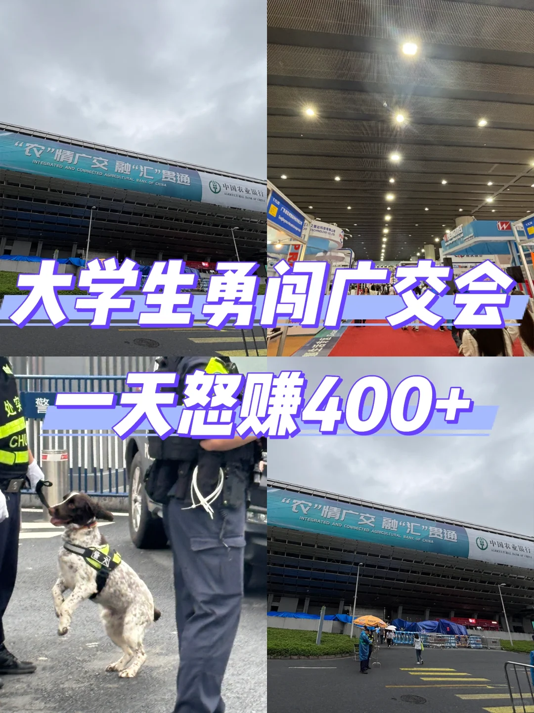 广交会兼职怒赚400+?