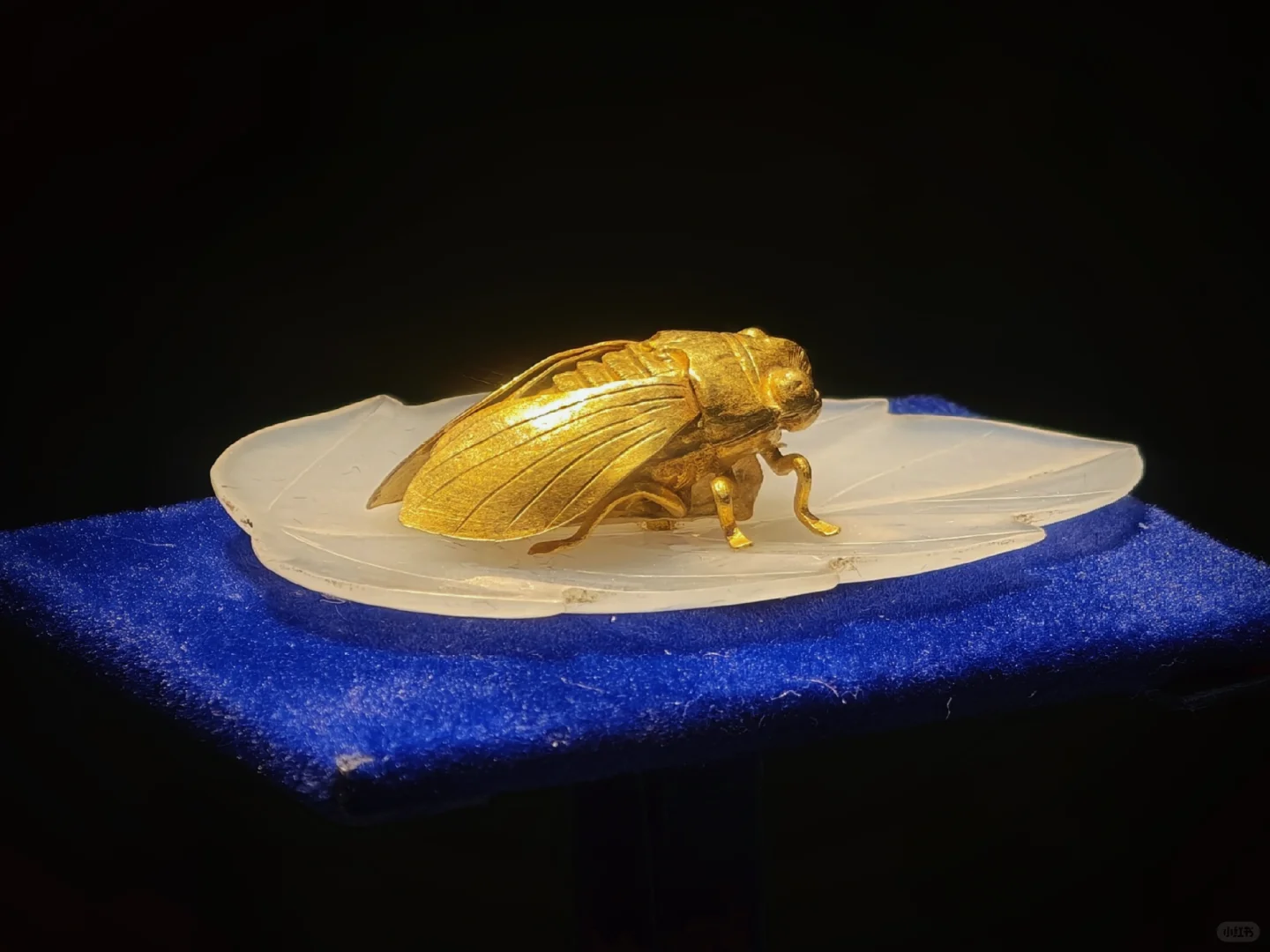 25年开幕的江浙沪最好展览“观天下”