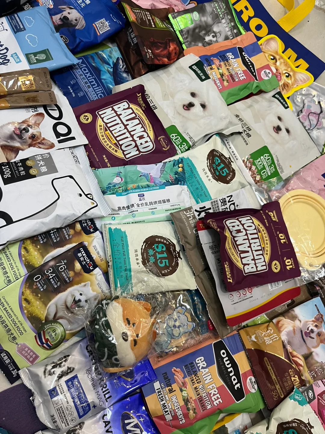 亚宠展第一天战况!攻略奉上??