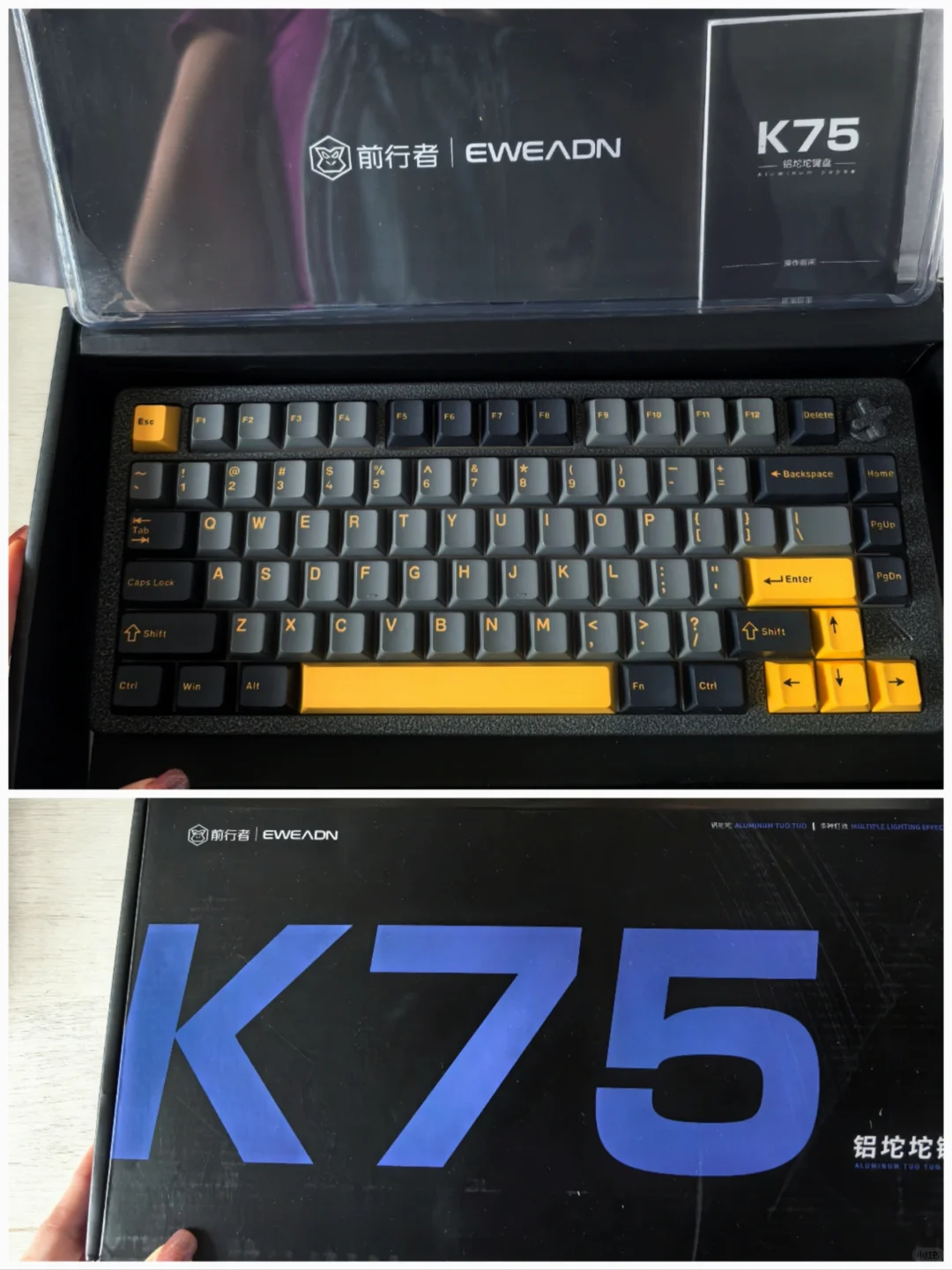 深圳会展中心！薅羊毛+遛娃两不误展览！