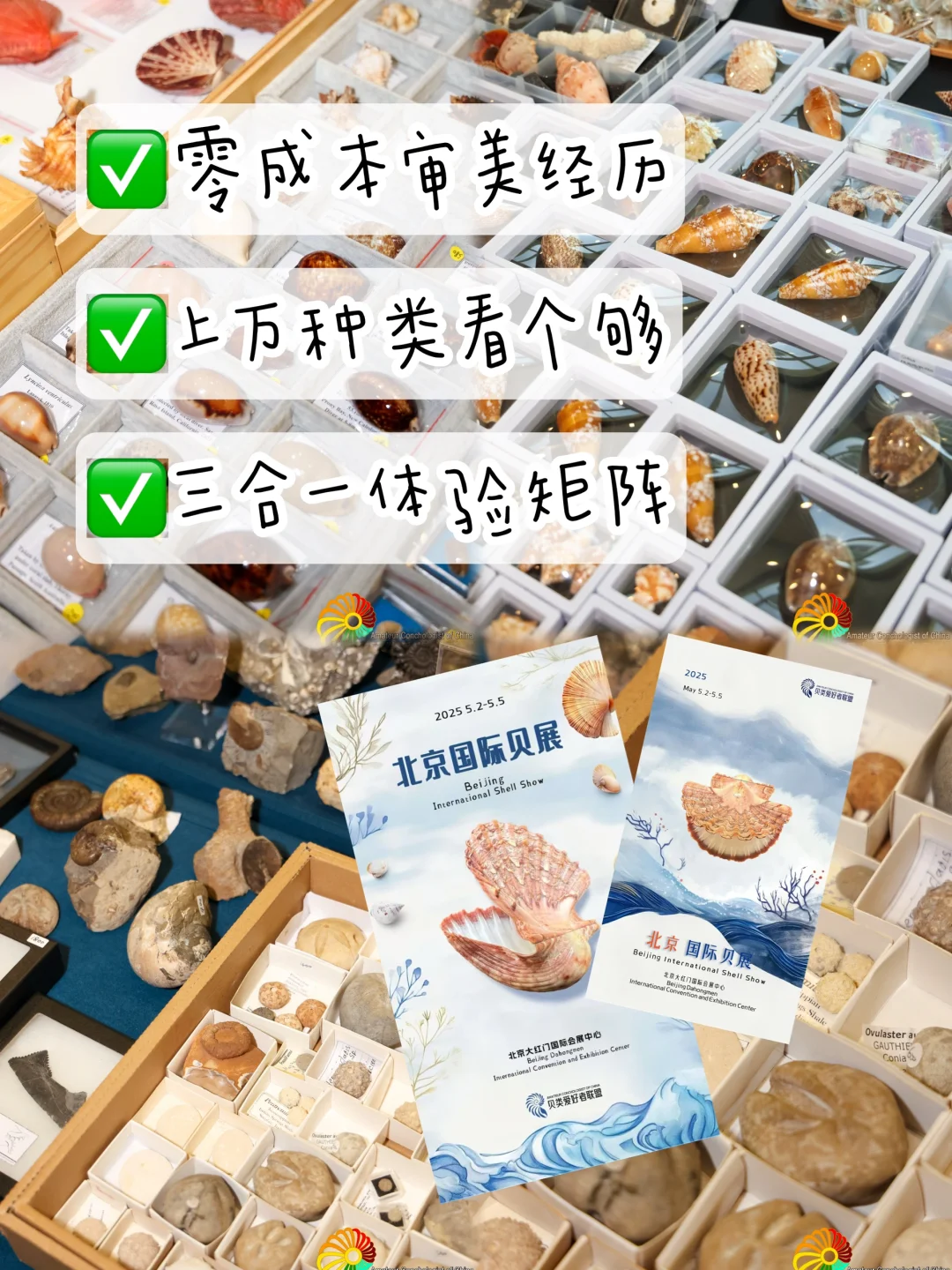 pku女大五一去哪玩？北京国际贝展来啦！?