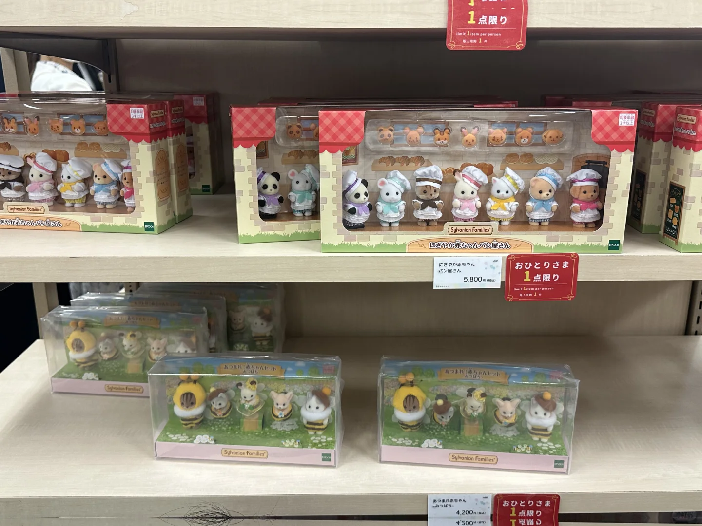 森贝儿四十周年展会 今日份 为可爱买单 ?