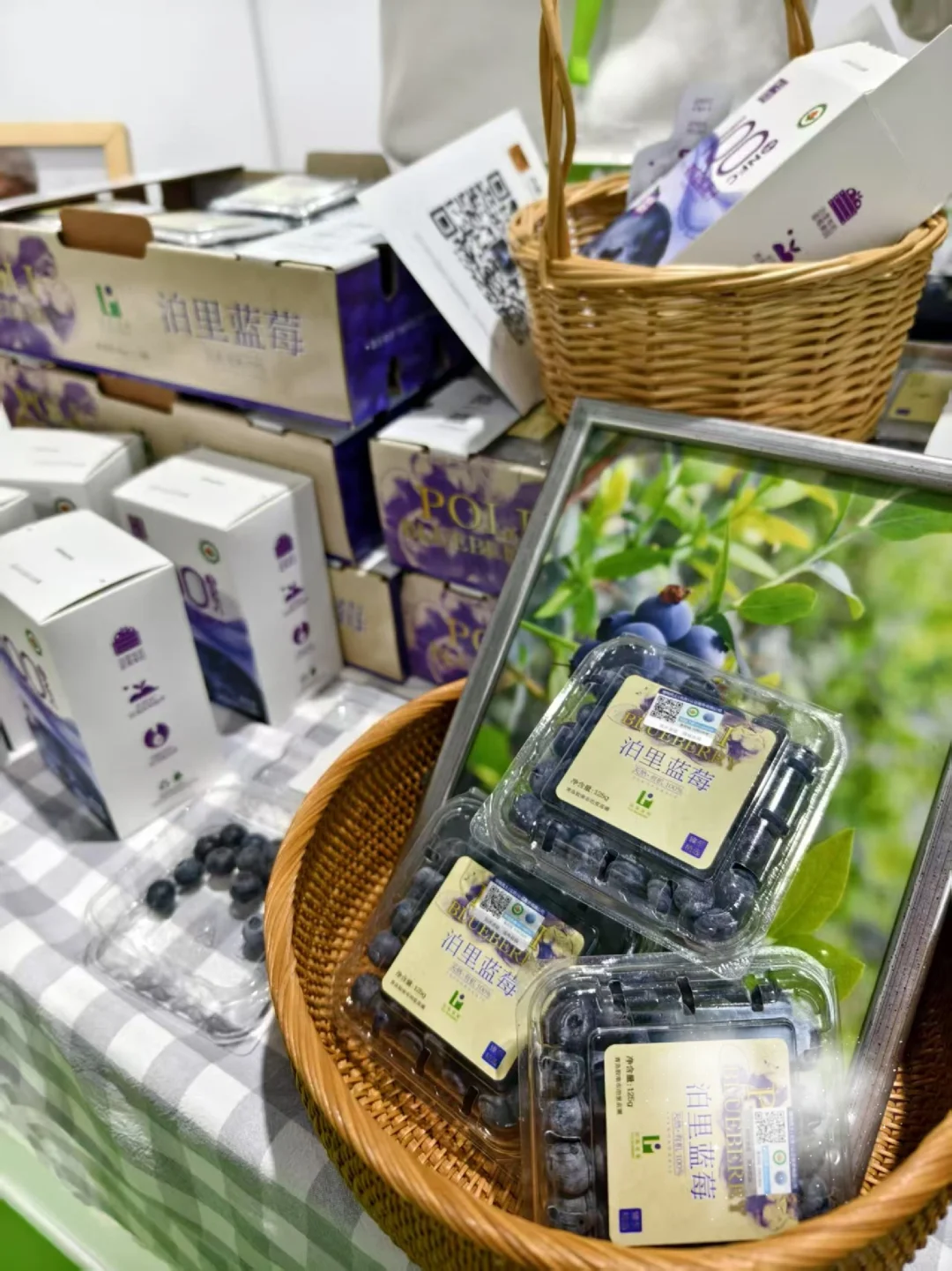 实拍北京健博会｜免费?参观，遛娃也不错