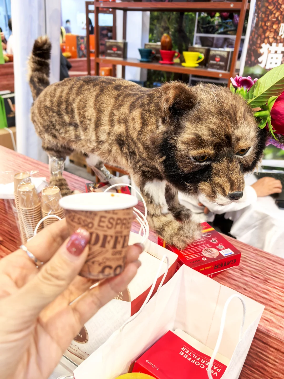 深圳会展中心！薅羊毛+遛娃两不误展览！