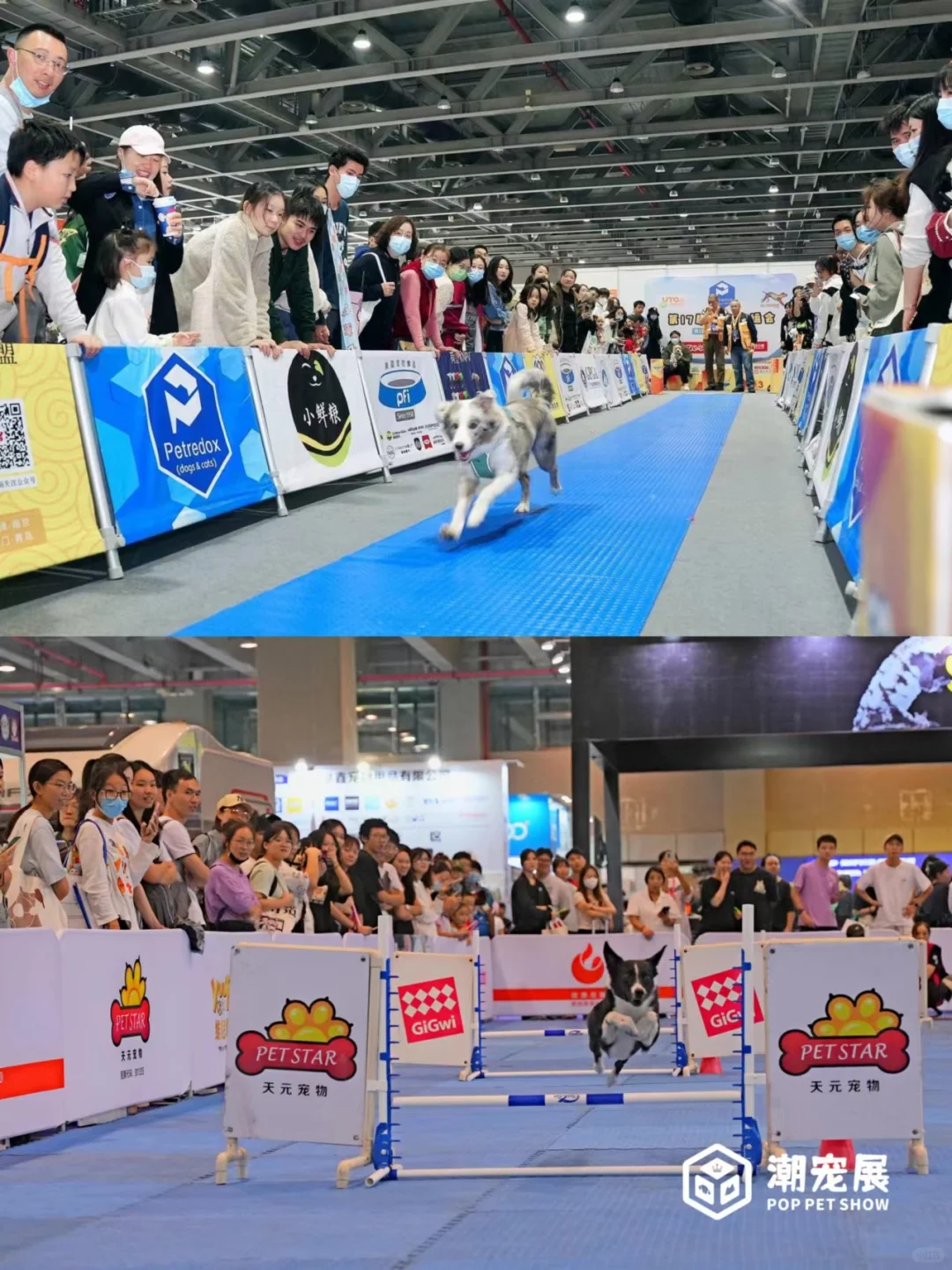 免费领取潮宠门票丨5月来广州潮宠展