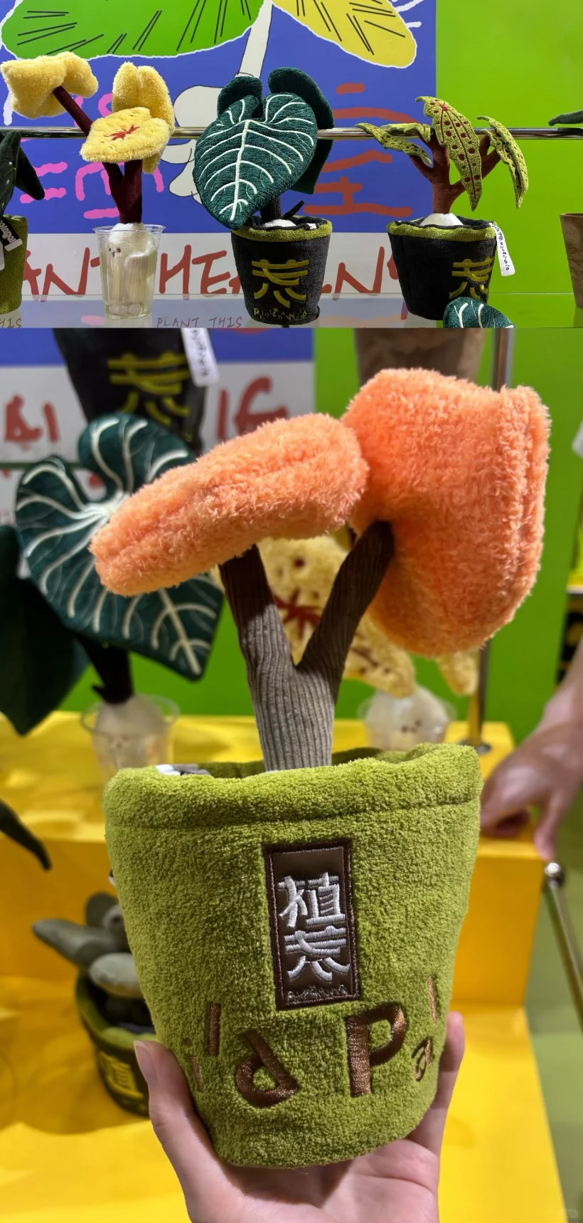 ?2025深圳玩具展深度笔记|设计师必看！