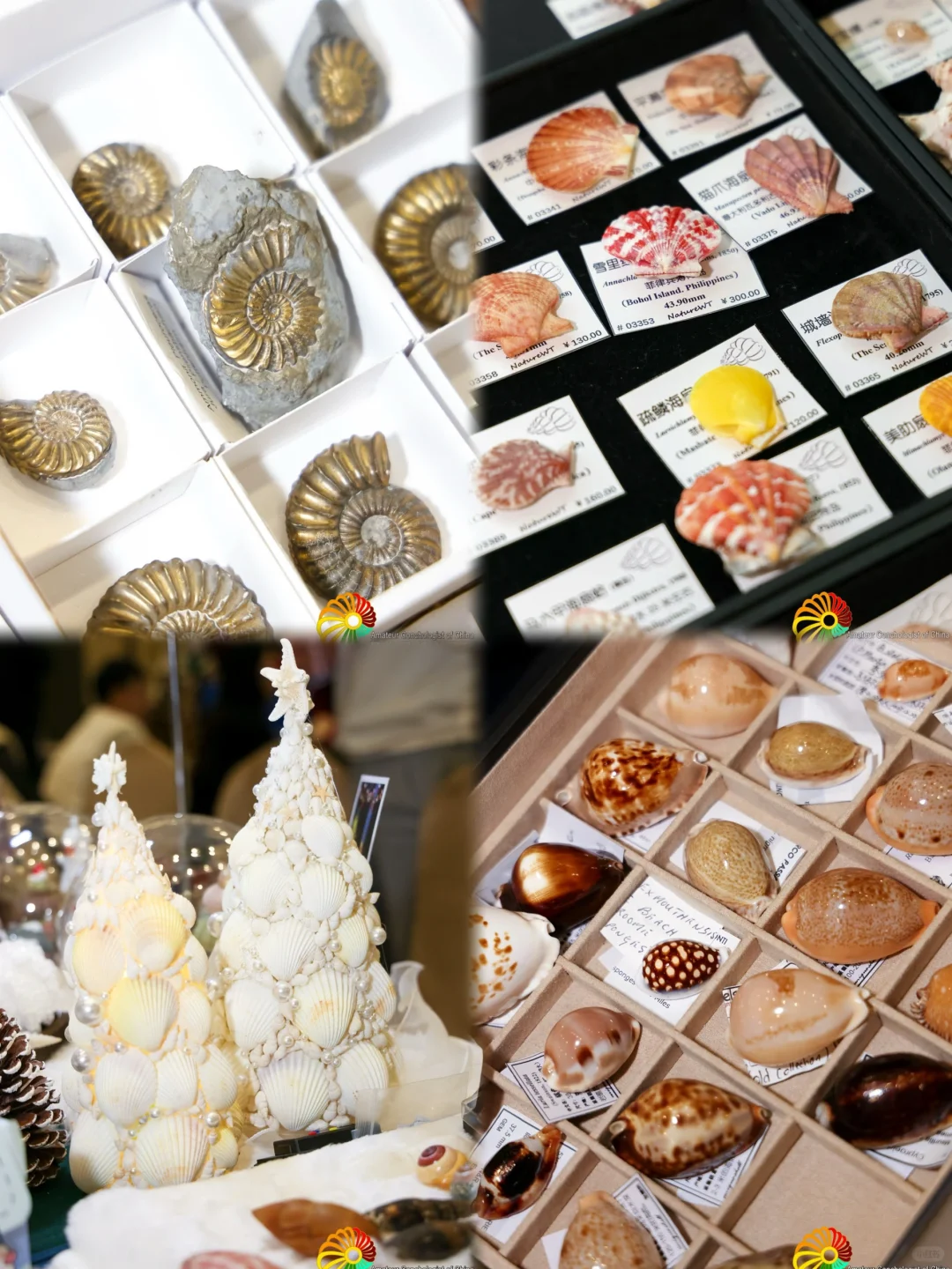 pku女大五一去哪玩？北京国际贝展来啦！?