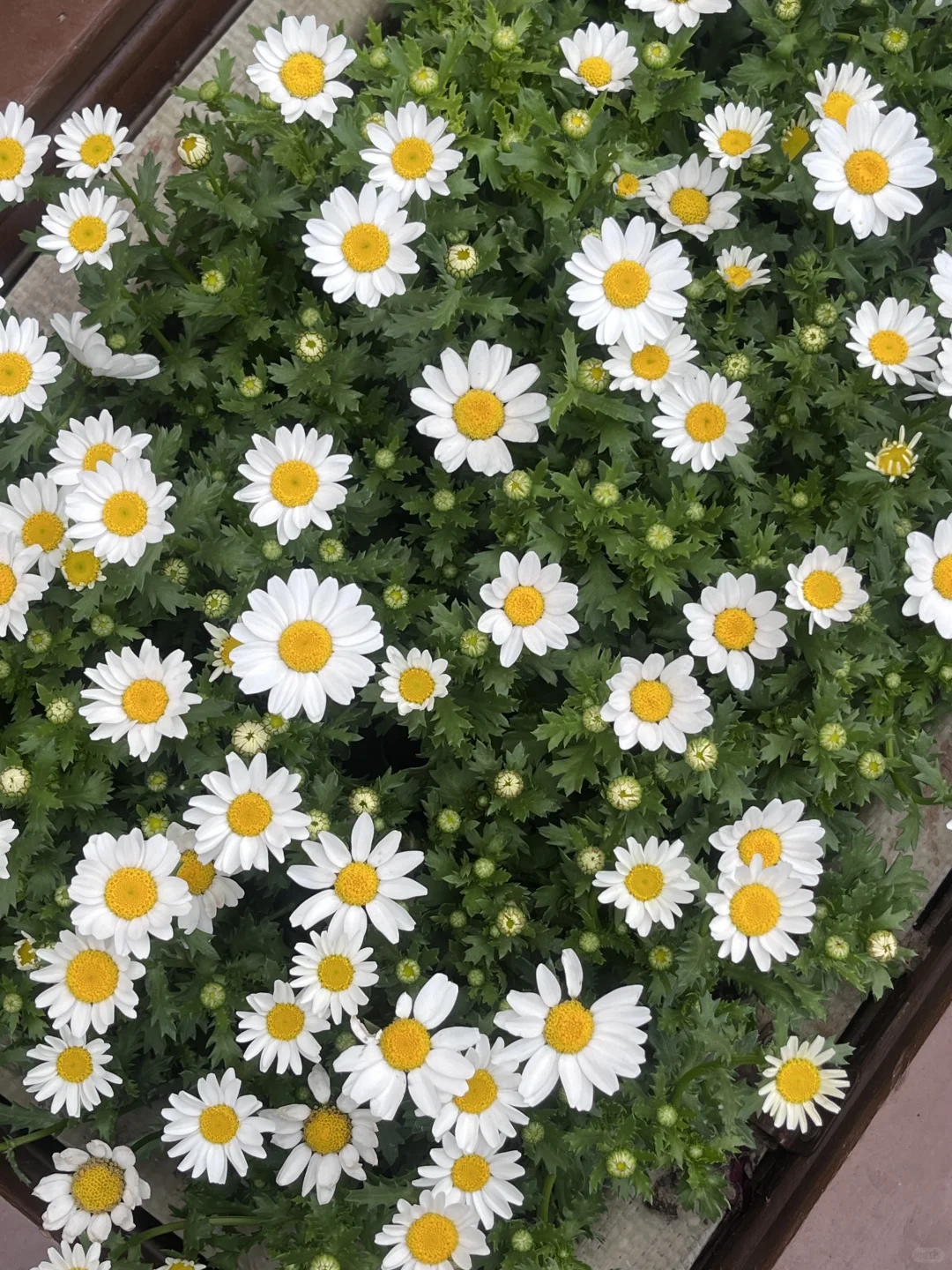 如果想办一场关于家乡的展览…