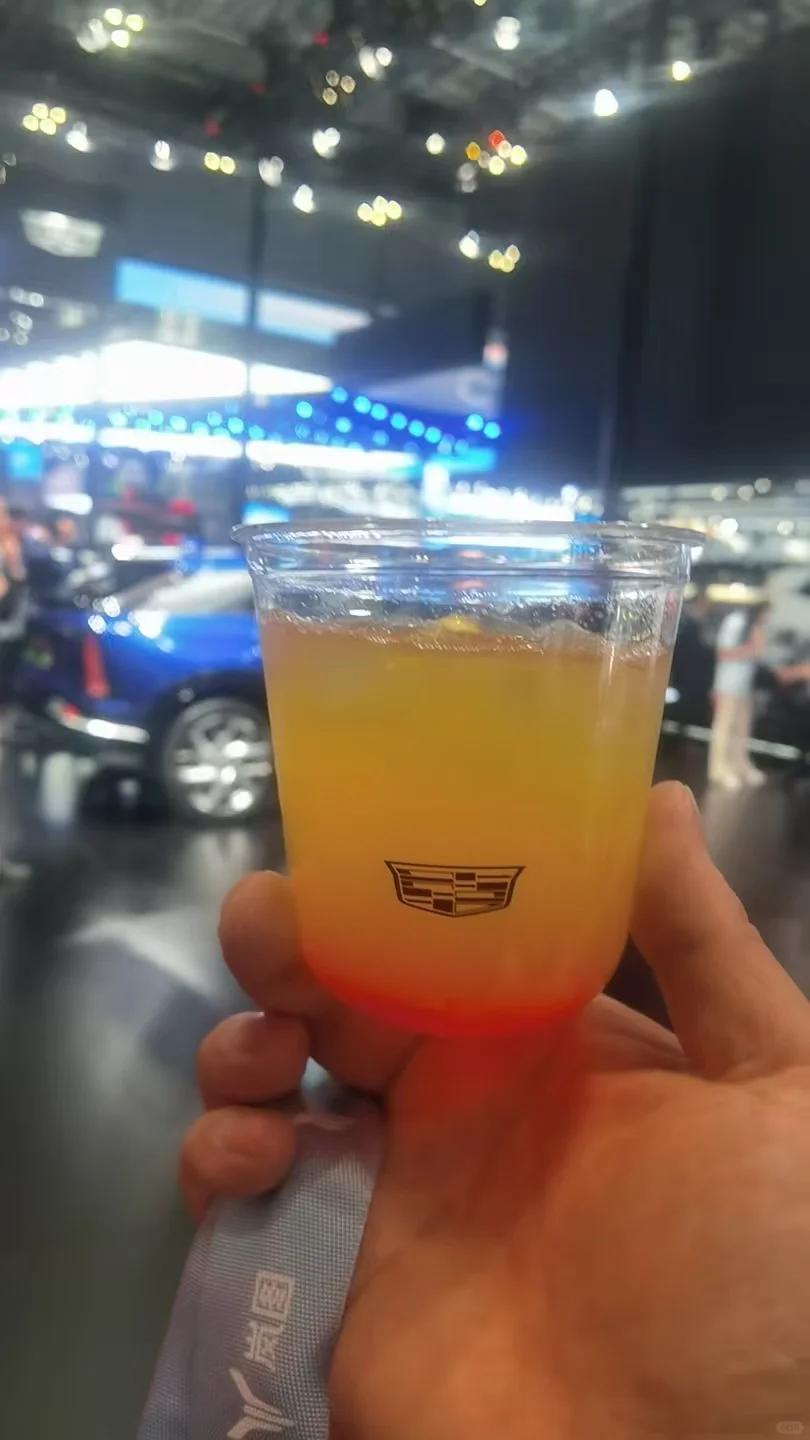 上海车展 | 薅羊毛全攻略，小米帽子值得冲