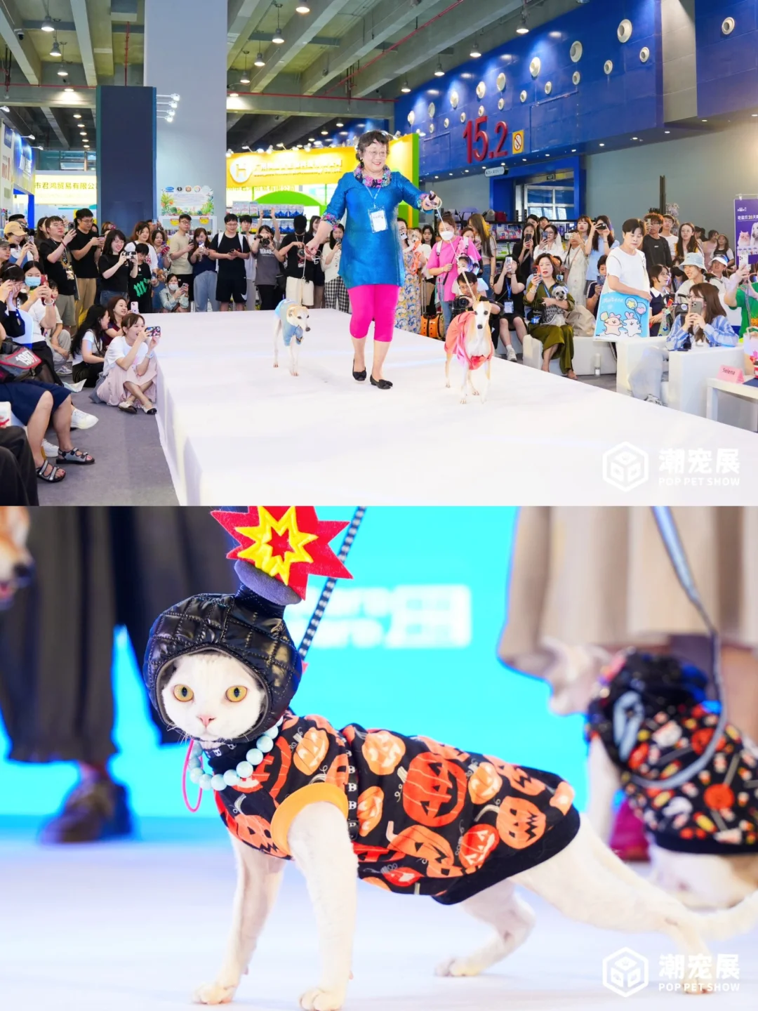 免费领取潮宠门票丨5月来广州潮宠展