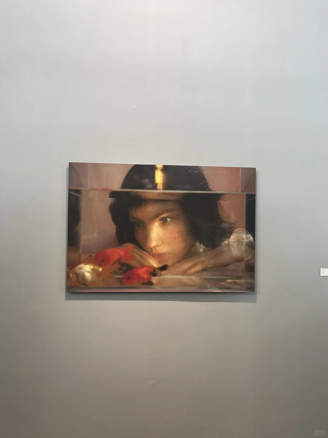 南京艺博会首日已看?攻略来了?️