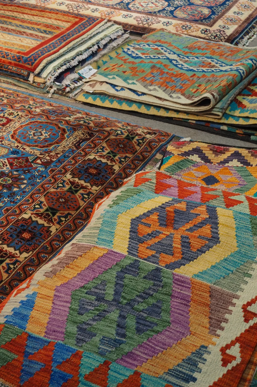 谁还没去南博会！