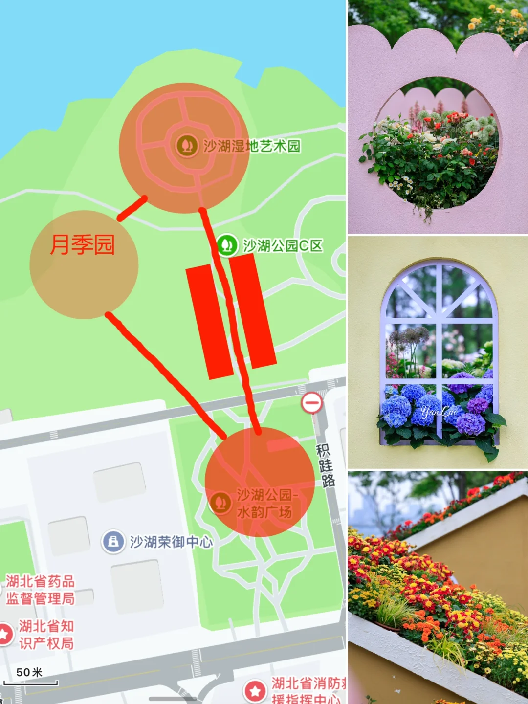 沙湖公园2025世界花园大会｜实地探展攻略