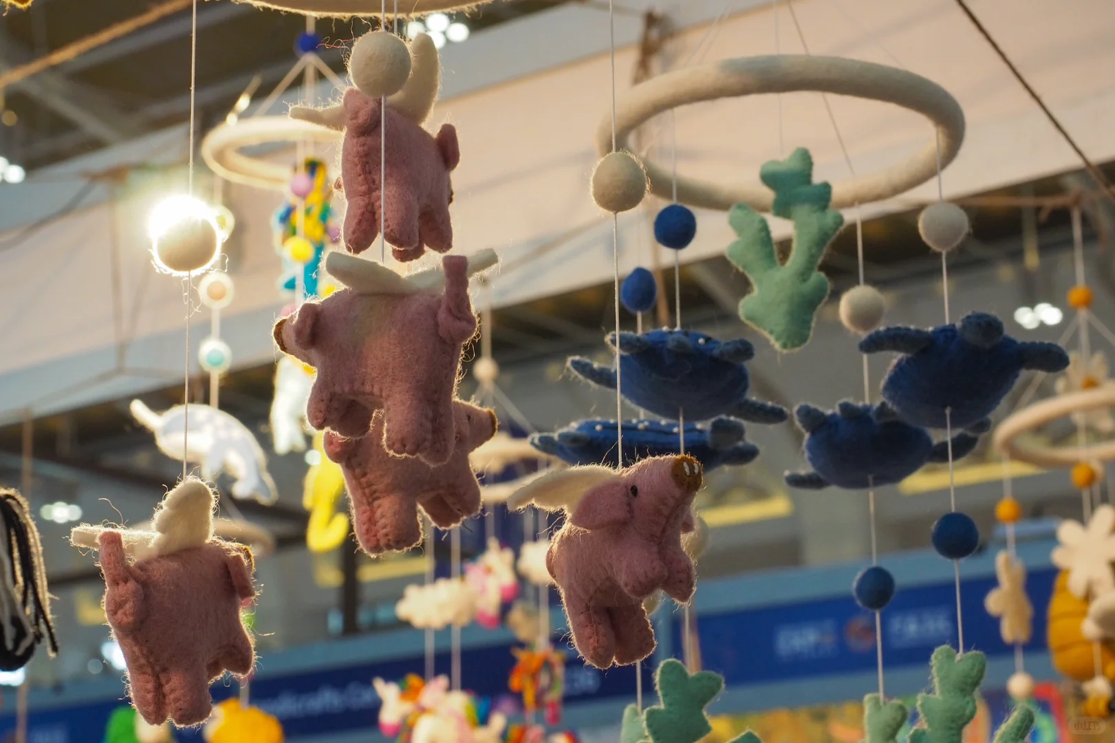 谁还没去南博会！