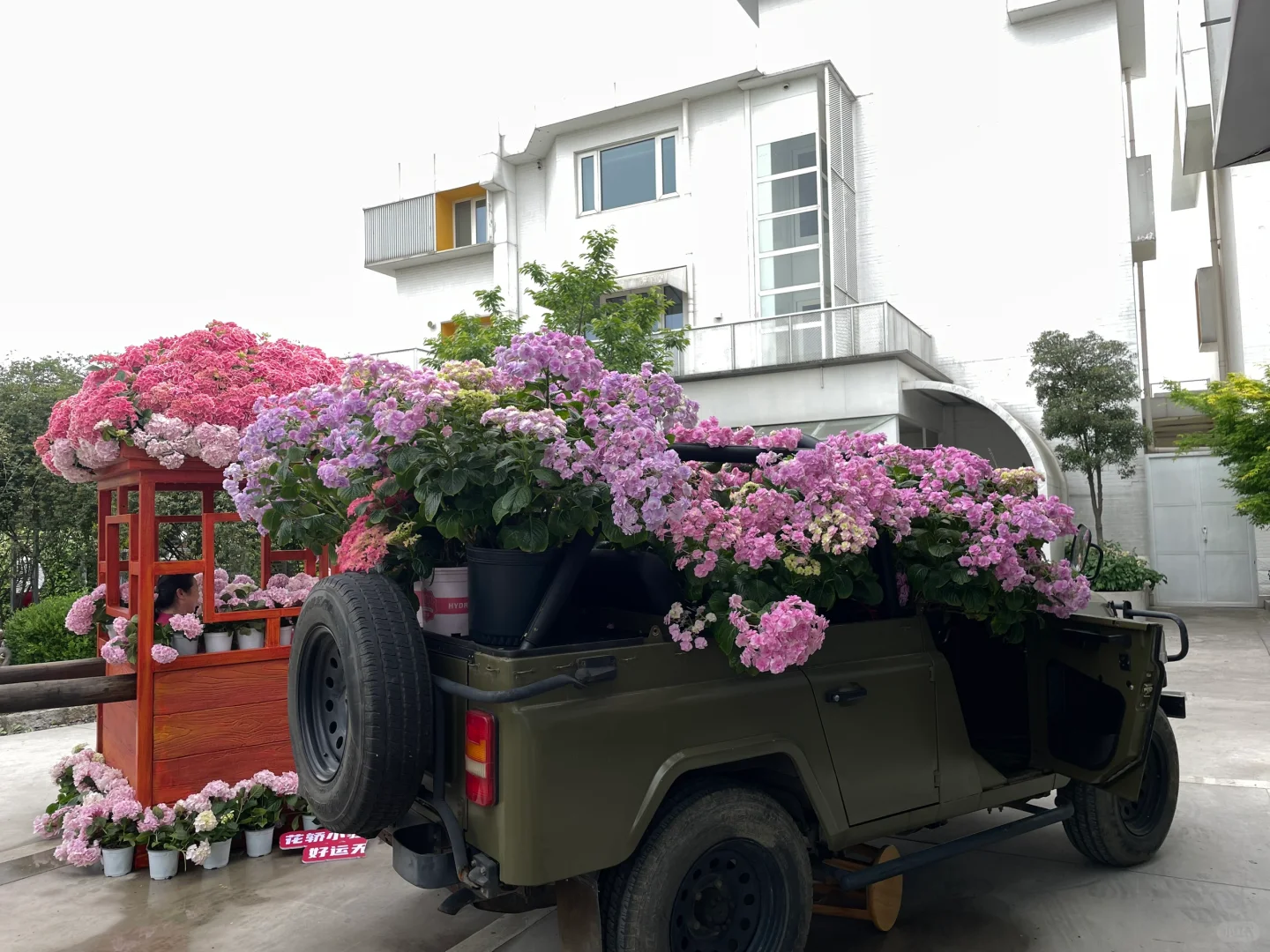 2025海宁世界花园大会｜第一天人就爆满了