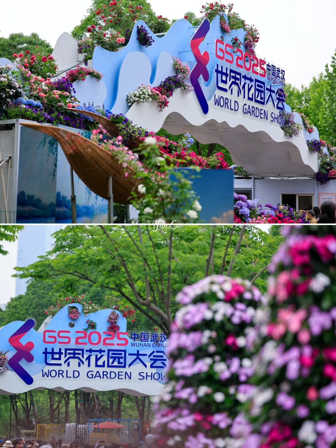 沙湖公园2025世界花园大会｜实地探展攻略