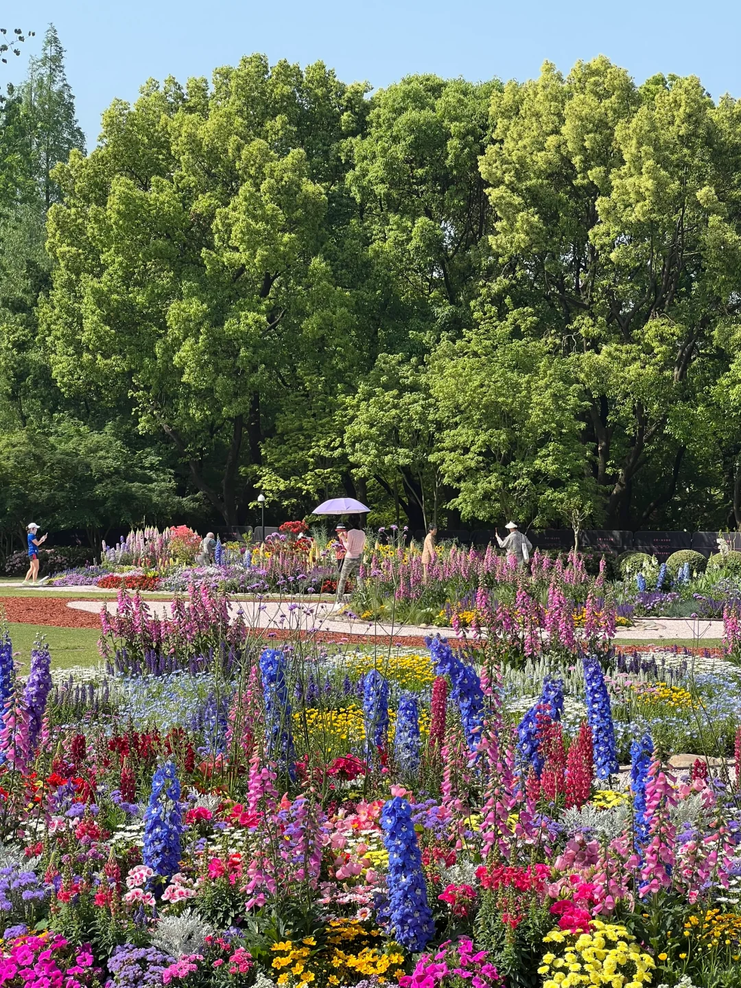 上海市中心的?玫瑰花园即将开启花海模式！！