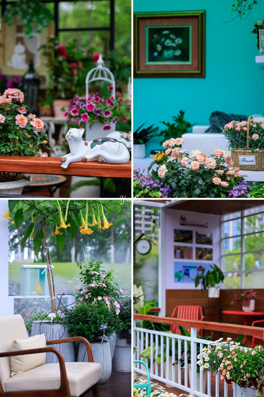 沙湖公园2025世界花园大会｜实地探展攻略