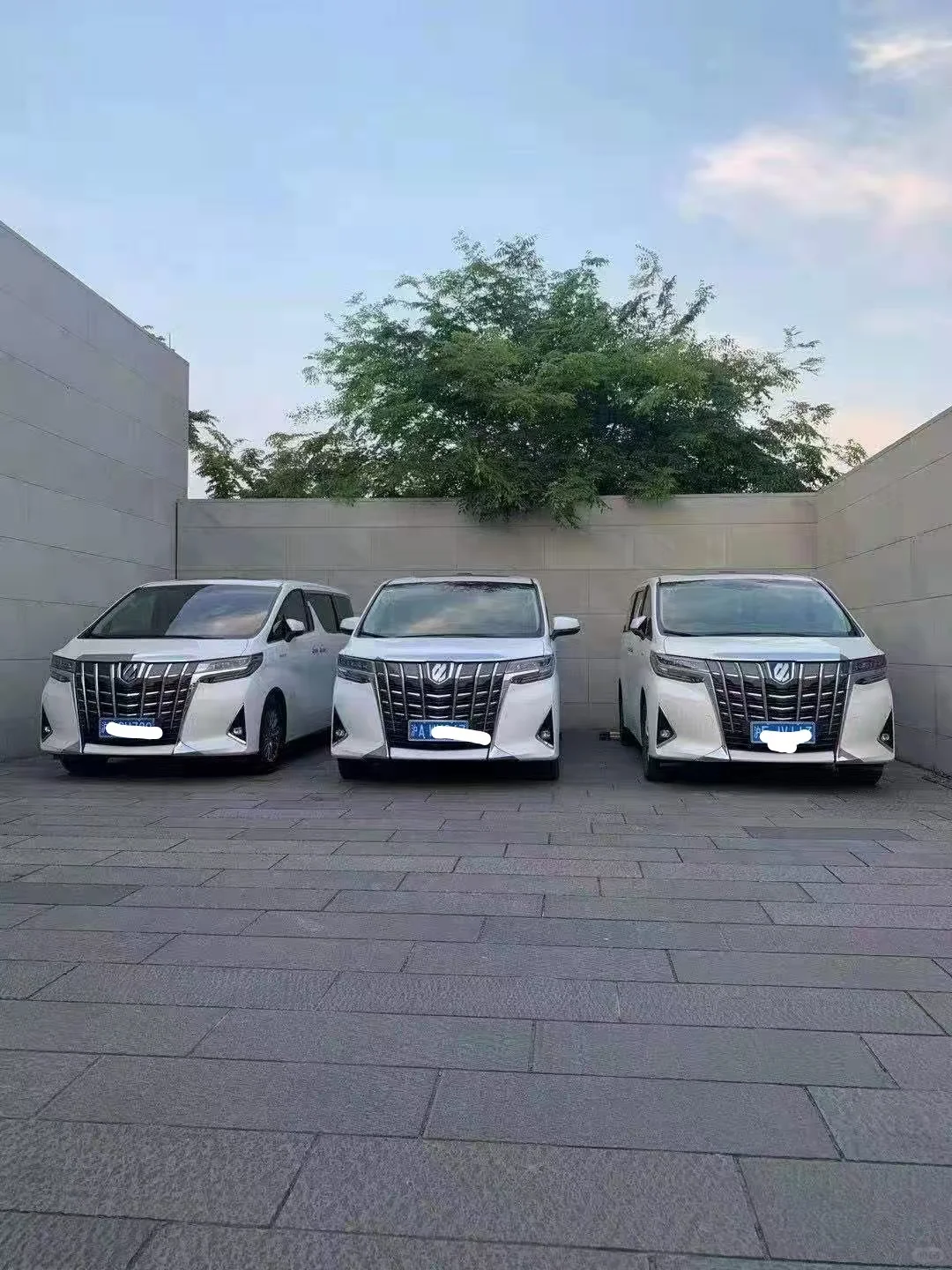 金山区会务会展价格专业规范